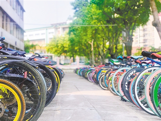 校园里，整齐摆放的自行车，本身就是一道靓丽风景线。