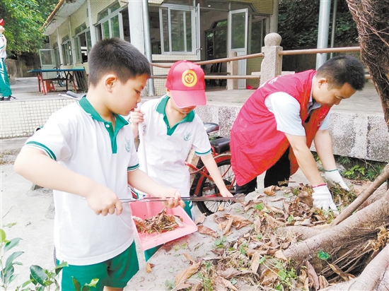 大小志愿者联手清理花圃里的落叶。